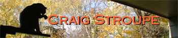Craig Stroupe banner
