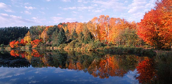 Bagley Lake on UMD's campus offers a beautiful view of fall colors.