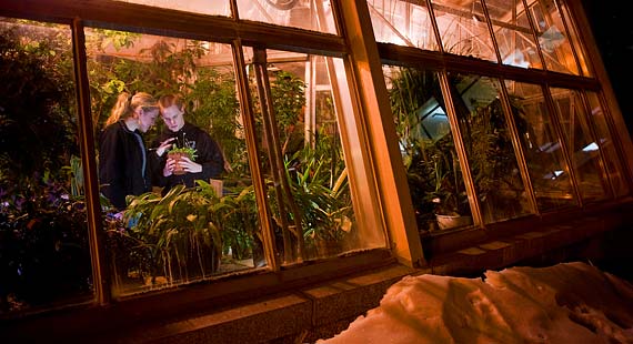 Students find an indoor oasis with lush plants and flowers in each of UMD's two greenhouses.
