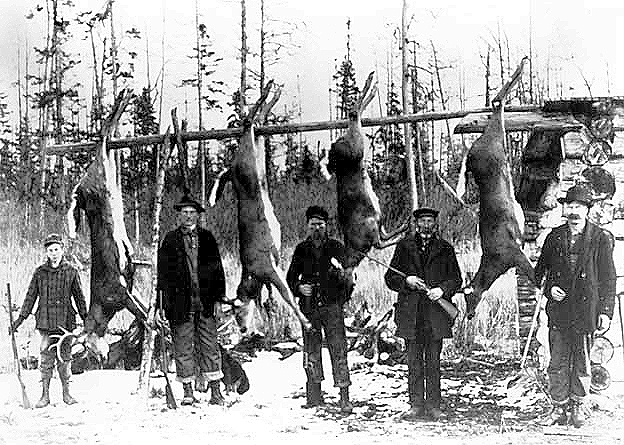 Hunters with deer in Jessie Lake area, north of Deer River, ca. 1915.