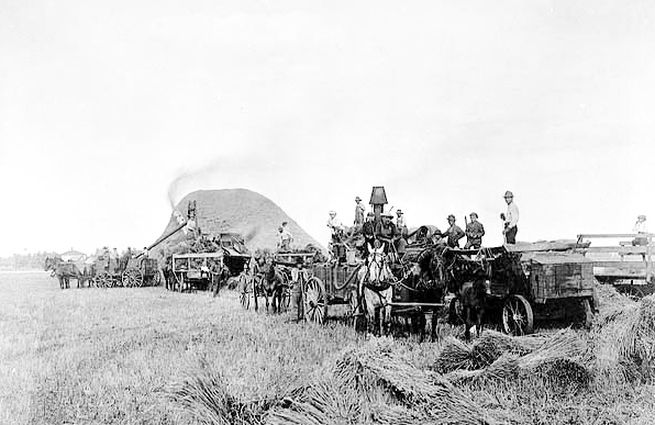 Henry Gorder's threshing machine, Grafton, North Dakota, 1911.