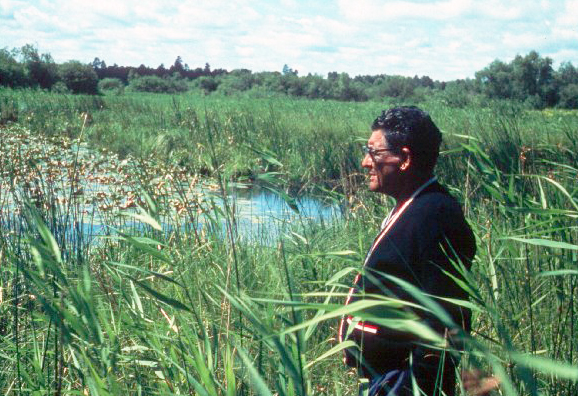 Paul Buffalo Meditating Wild Rice Beds