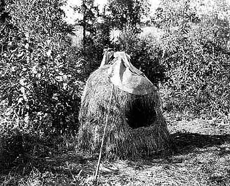 Wild rice storage hut, 1930