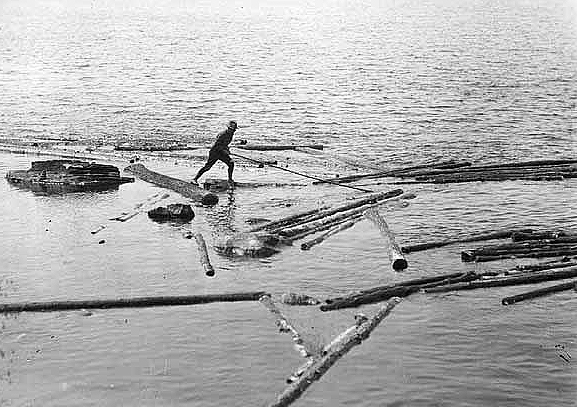 Lumberjack working with floating logs, ca. 1905.