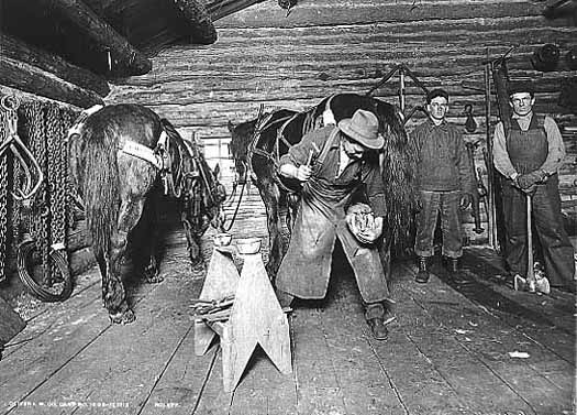 Blacksmith shoeing horse at a lumber camp.