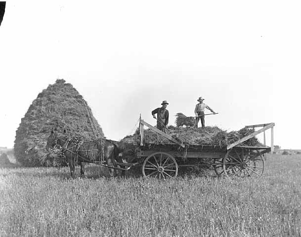 Hay stack and wagon.