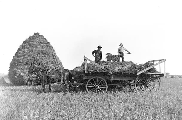 Hay stack and wagon, ca. 1910.