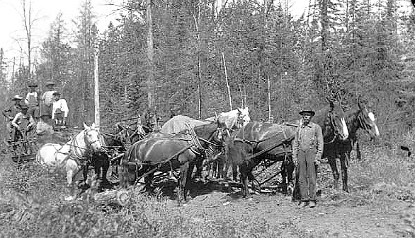 Building a road, Battle Township, Beltrami County, ca. 1910.