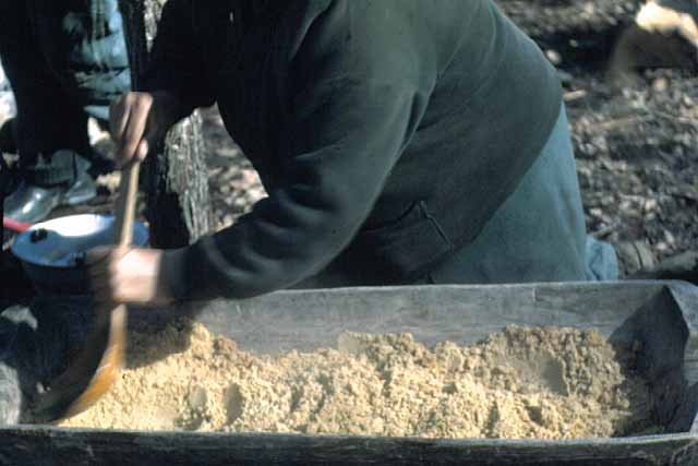 Mrs. Day Granulating Maple Sugar, Lake Mille Lacs, 1948