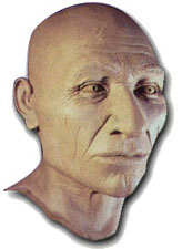 Reconstruction of Kennewick Man.