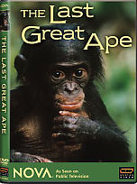 The Last Great Ape video
