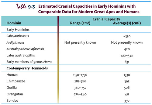 Table 9-3 estimated Cranial Capacities in Early Hominins with Comparable Data for Modern Great Apes and Humans.