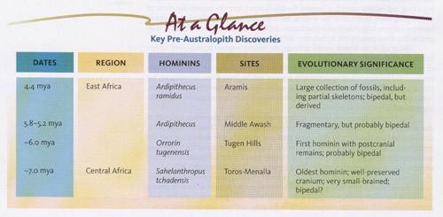 Key Pre-Australopith Discoveries.