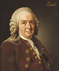 Karl von Linné (Linnaeus), 1707-1778