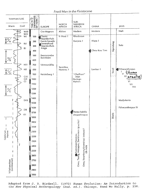 Fossil Hominids in the Pleistocene