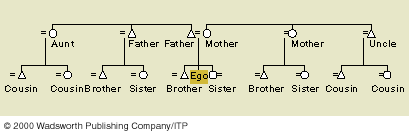 Iroquois Kinship Diagram