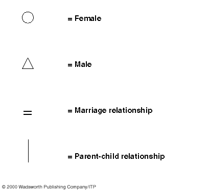 Kinship Symbols Charting
