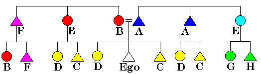 Omaha kinship system.