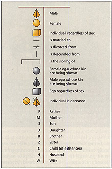 Kinship Symbols Charting