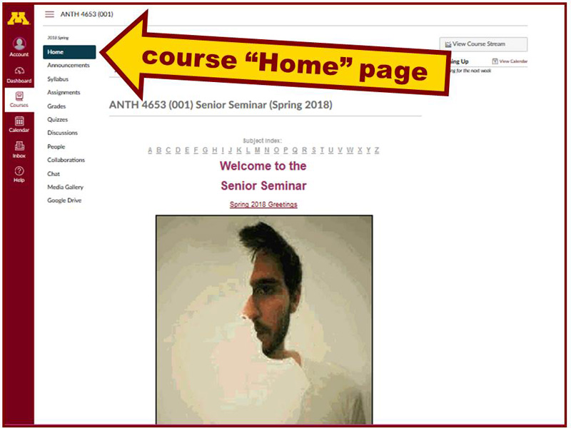 Canvas Course Home Page