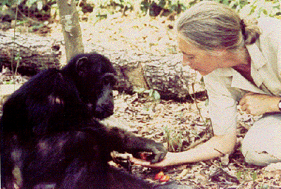 Jane Goodall and Friend