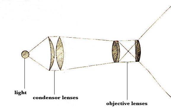 Objective Lens System