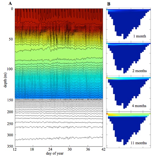 Lake Superior sediment oxygen penetration