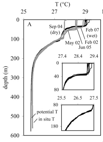 Temperature profiles in Lake Matano