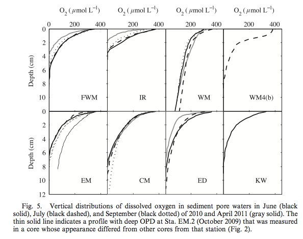 Lake Superior sediment oxygen penetration