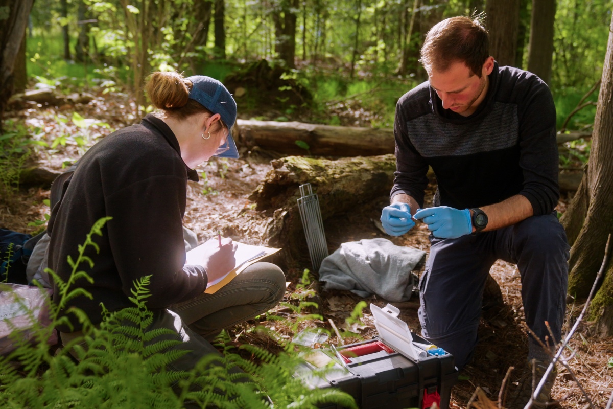 Two UMD researchers work in a forest, one writing notes on a clipboard, the other examining samples with gloves, surrounded by fallen logs, ferns, tools and equipment.