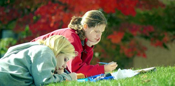 Students studying outside by the Medical School.