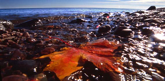 Lake Superior: Fifty-two percent of entering students say the campus location influenced their decision to choose UMD.