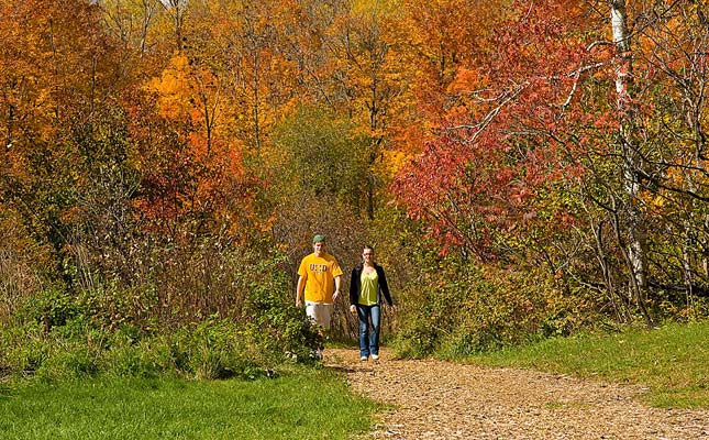The Bagley Nature Area is 55 acres of forest, pond, and trails on the northwest part of campus.