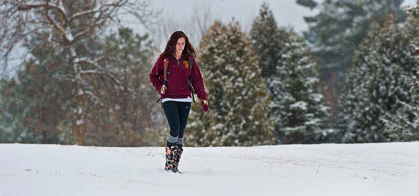 UMD, with more than 50 buildings on 244 acres, is less than a mile from the edge of Lake Superior. The campus includes the Bagley Nature Area, a 50 acre contiguous nature preserve.