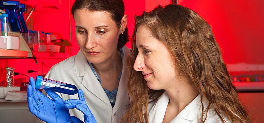 The blood-brain barrier research of McKnight Land Grant Professor Anika Hartz (left) and her students has gained international attention.