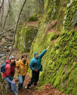photo of staff near a moss covered cliff