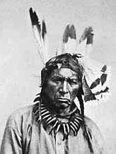Ne-bah-quah-om (Big Dog), Chief, Chippewa , ca. 1865.