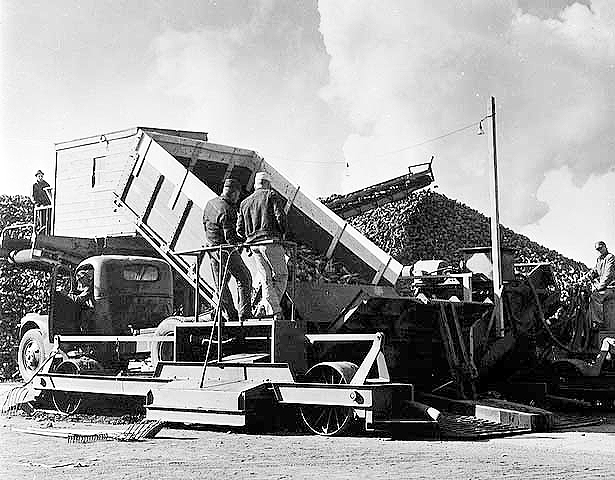Sugar beet machine used to stack beets, ca. 1940.