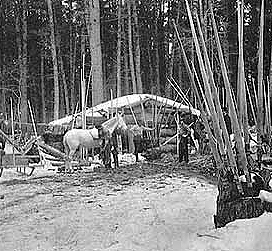 Men posed on log piles Cedar yards, northern Minnesota, 1900-1920.