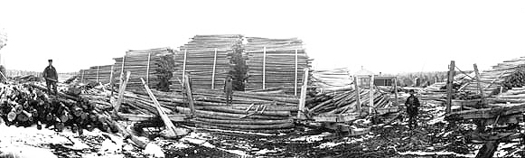 Men posed on log piles Cedar yards, northern Minnesota, 1900-1920.