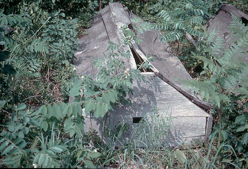 "Spirit House" at Townsite, Ball Club, MN, 1965.