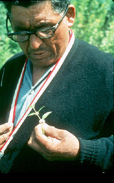 Paul Buffalo Meditating Medicine, Leech Lake Reservation, 1966.