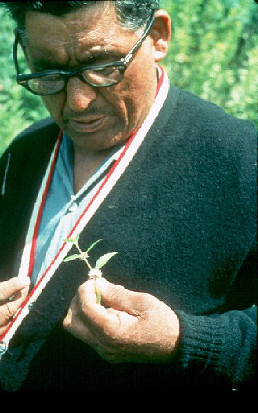 Paul Buffalo Meditating Medicine, Leech Lake Reservation, Minnesota, 1966.