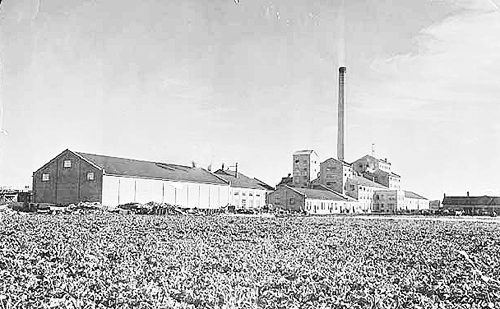 American Beet Sugar Factory, East Grand Forks, 1930.