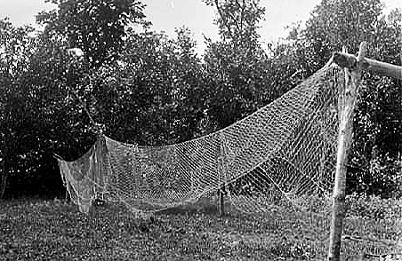 Mary Razer (Papagine) drying fish nets. White Earth, ca. 1910.