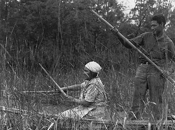 Grace Rogers and Joe Aitken harvesting wild rice near Walker, 1939