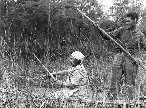 Grace Rogers and Joe Aitken harvesting wild rice near Walker, 1939