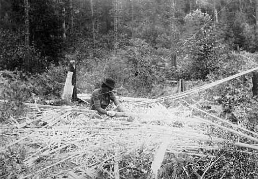 Building birch bark canoe at a Chippewa camp, 1895
