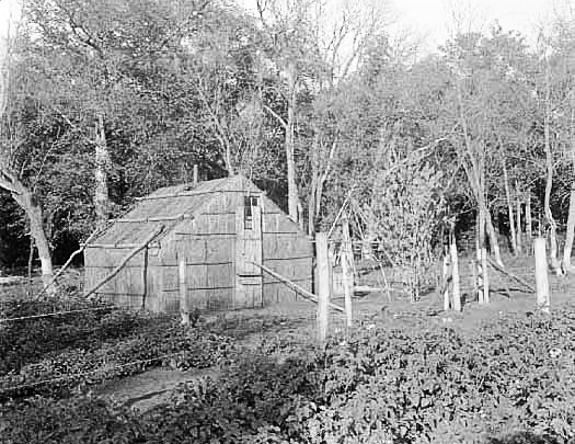 Minnesota Ojibway Indian house made of elm bark, ca. 1910.