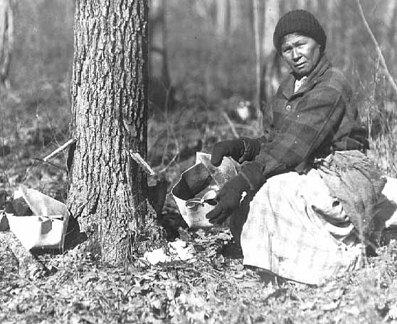 Mrs. John Mink collecting maple sap, Mille Lacs, 1925